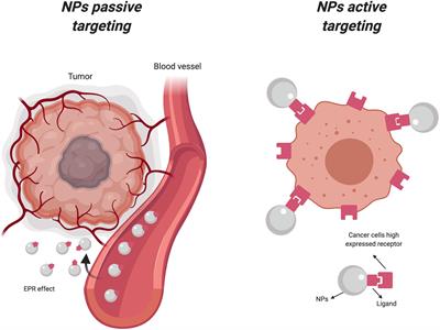 Nanoparticle Surface Functionalization: How to Improve Biocompatibility and Cellular Internalization